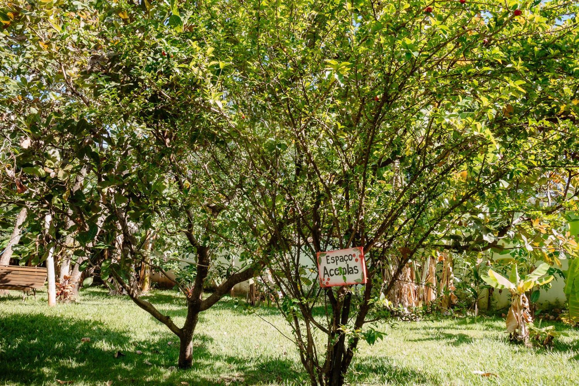 Pousada Adega Cipo Serra do Cipo National Park エクステリア 写真